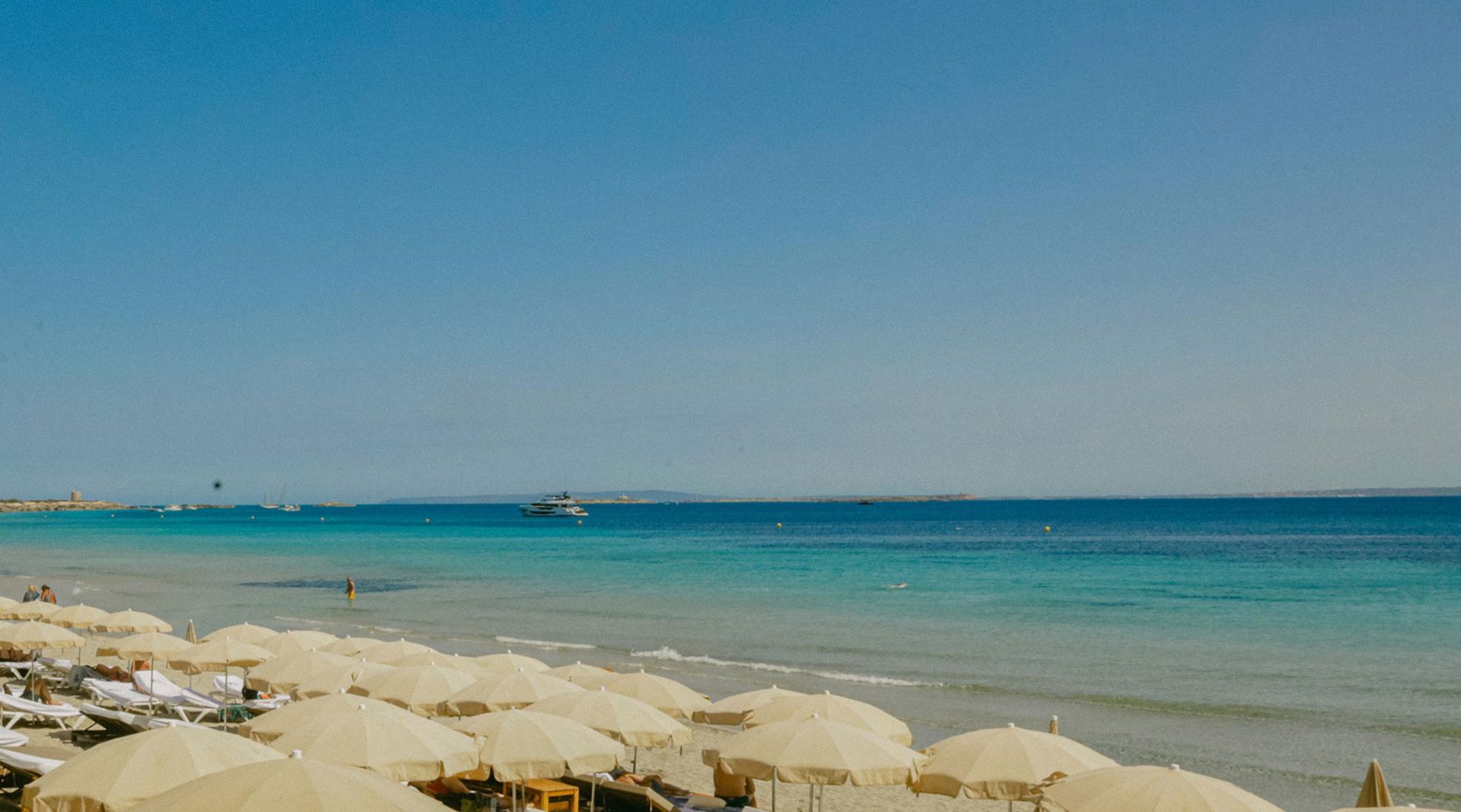 Gastronomía - NL 10